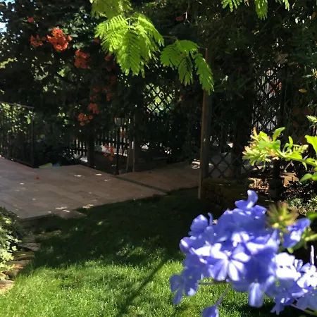 Tatil Evi La Casetta Del Tesoro Falconara Marittima